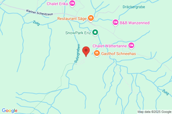 Schweiz. Skischule