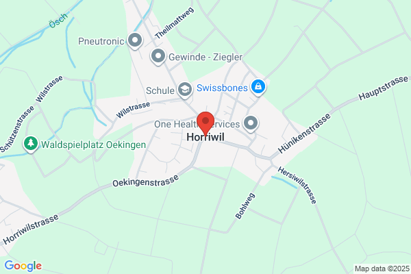 Peter Scheidegger Oekingen
