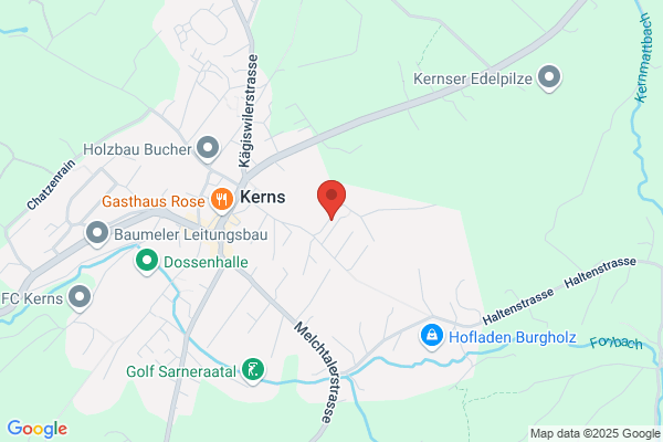 Meienberger Immobilien