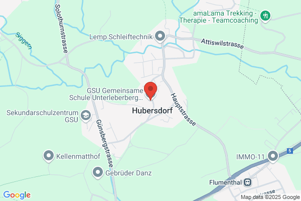 Senioren-Service-Solorhurn-Oberaargau