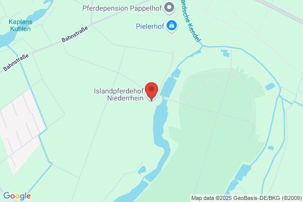 Islandpferde Service