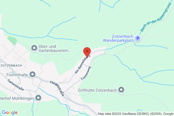 Institut für Erdstrahlen und Elektrosmog
