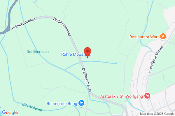 Roehre Moos