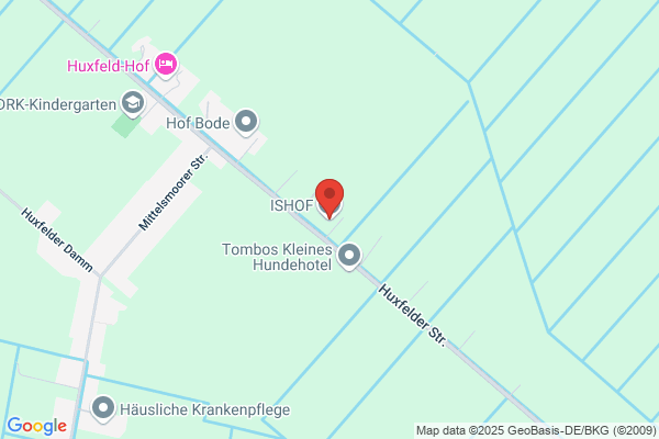 Islandpferde Ausbildungs-Zentrum
