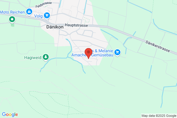 Orgelservice R. Baeriswyl
