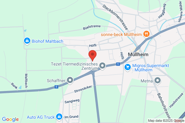 Oberstufenzentrum Rietwies