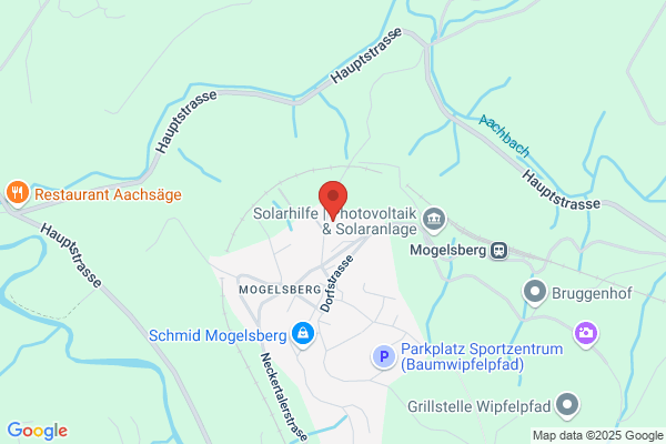 Walter Nef