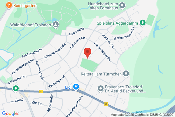 SEO Beratung und Training Baeni