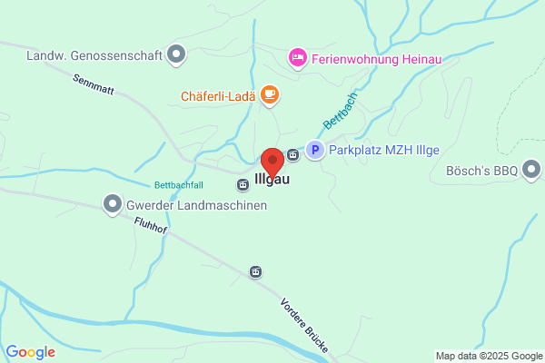 Pauli-Sport