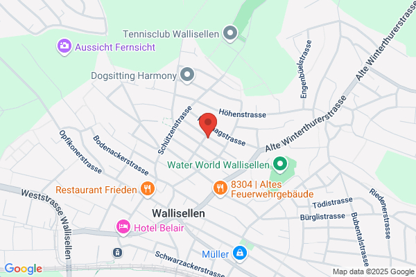 Online USV-Systeme AG