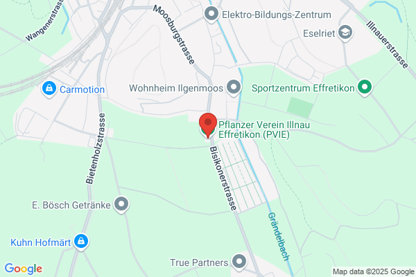 volkinet.ch