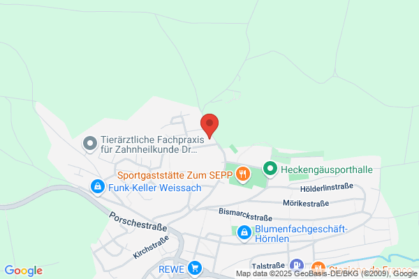 Schaffner und Scheidegger