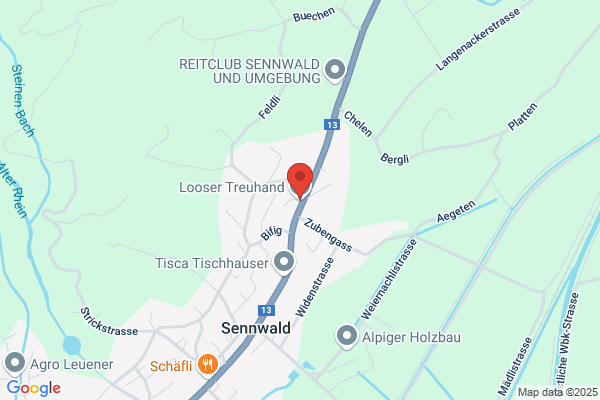 Treuhandbuero R. Looser