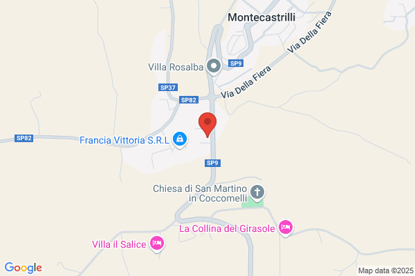 Monteplast SA