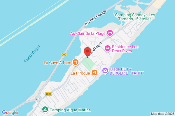 Bodega bar irish pub