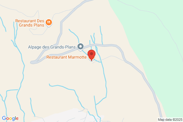Marmotte