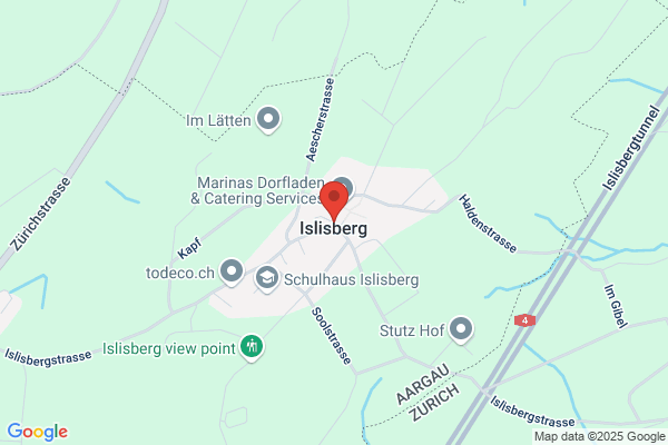 Steinemann IT Consulting