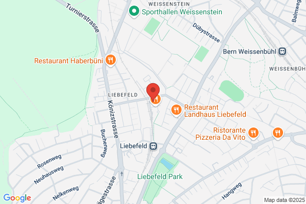 Der Ingenioer Boenzli