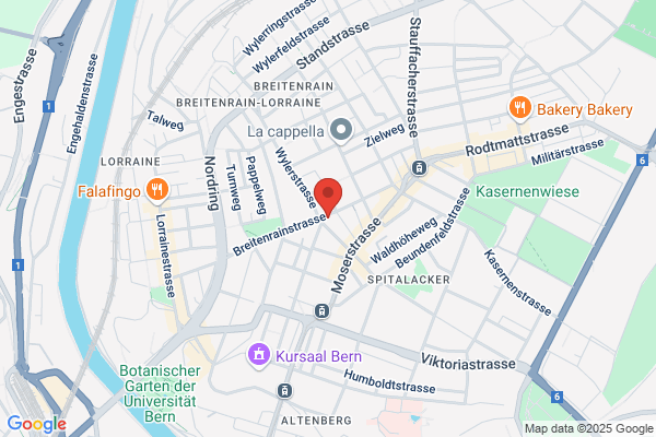 IAP Bern Institut fuer angewandte Psychologie