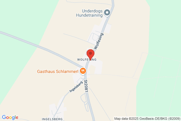 Klinik fuer Nutztiere und Pferde