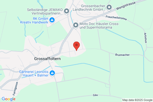 Stiftung fuer das Pferd
