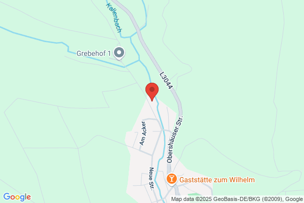 Niederhauser Verwaltungs AG