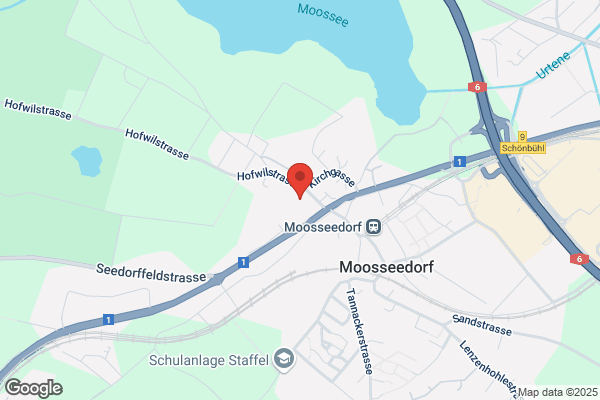 Freiburghaus und Foresta AG