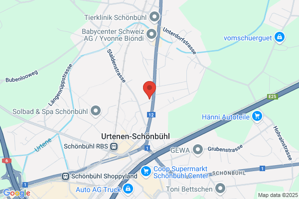 Elektro Boehlen AG