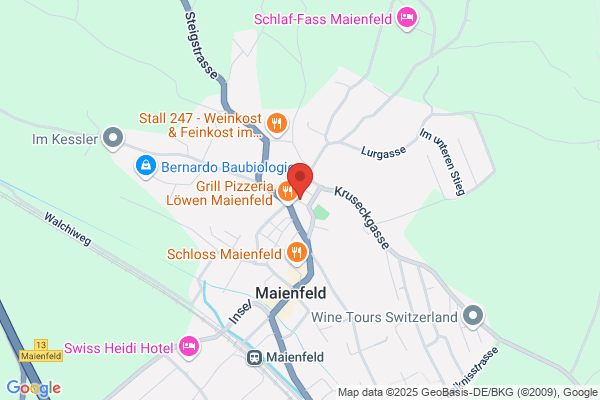 OPMS GmbH