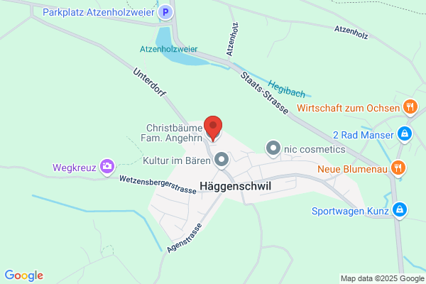 Angehrn u. Spiess