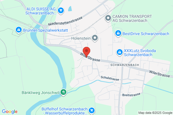 Wohlgensinger Immobilien- #NAME?