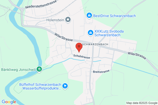 Werner Raschle
