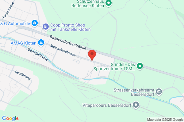 Hanspeter Zenger