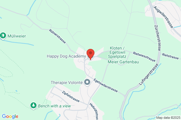 Hundeschule Stahel