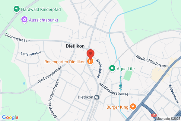 Schneider B. + G. Treuhand AG Dietlikon