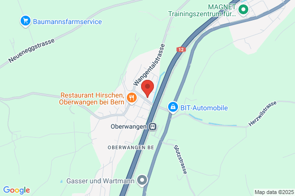 Figas Autogewerbe-Treuhand der Schweiz
