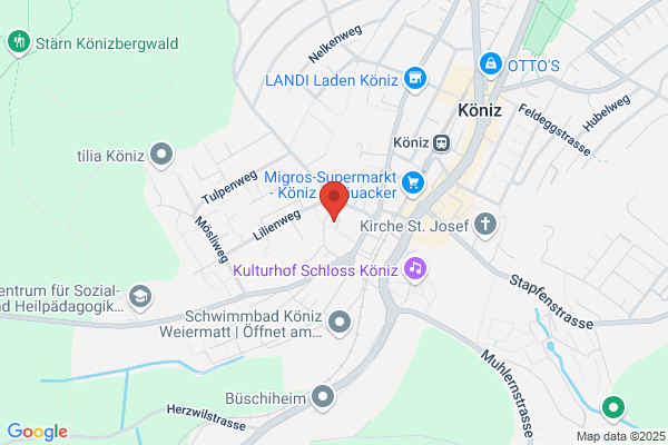 Heilsarmee Buchseegut