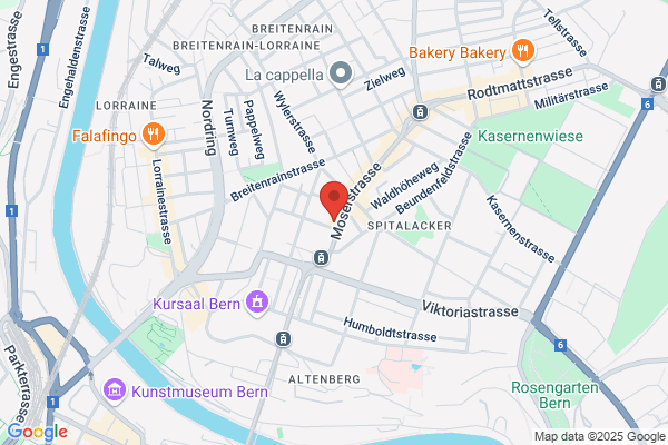 Maarsen Blumengeschäft