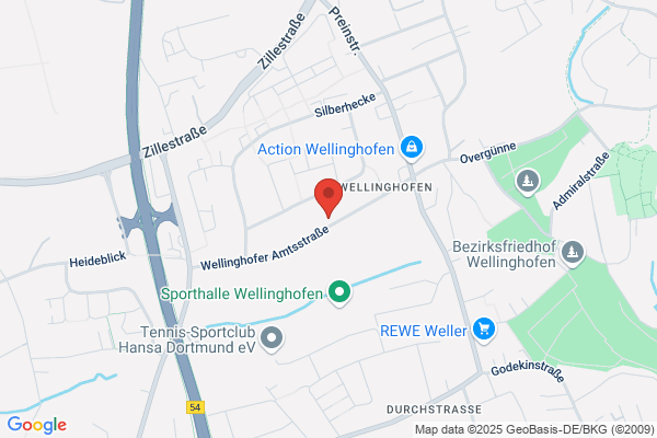 Born Informatik AG