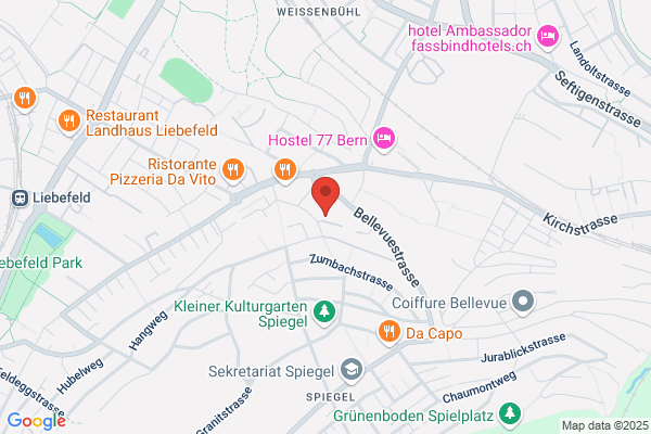 Salvisberg Software und Consulting