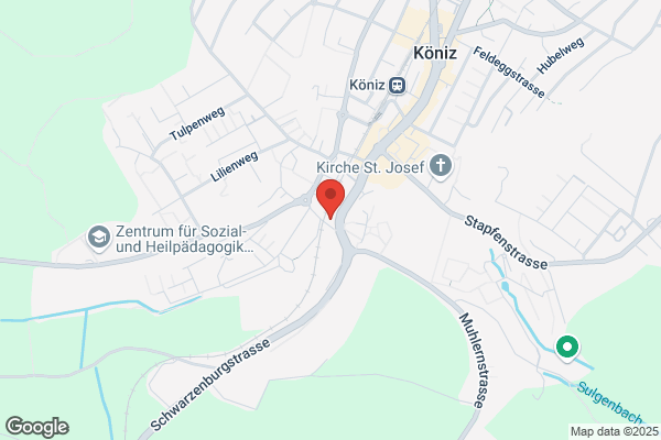 Wistar Informatik AG