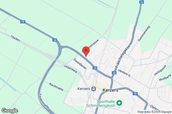 Der Ingenioer Boenzli