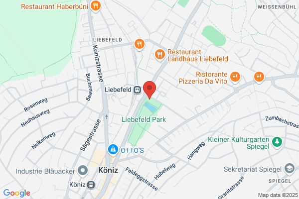 Hansruedi Spring