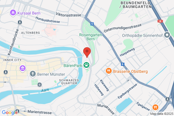 Bluestockings GmbH