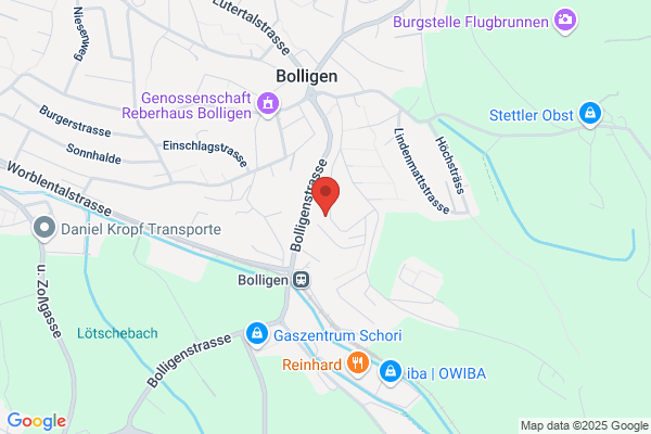 Mischler - Consulting