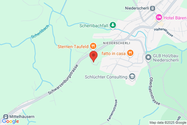 Liechti's Schreiner-Service