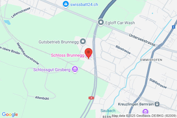 Dr. Binswanger Schloss Brunegg Kreuzlingen AG
