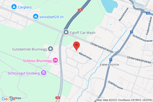 Wirz Consulting GmbH