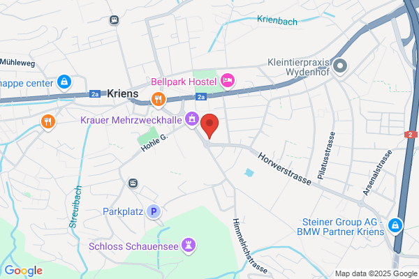 Hirtenhofgarage P. Vonesch