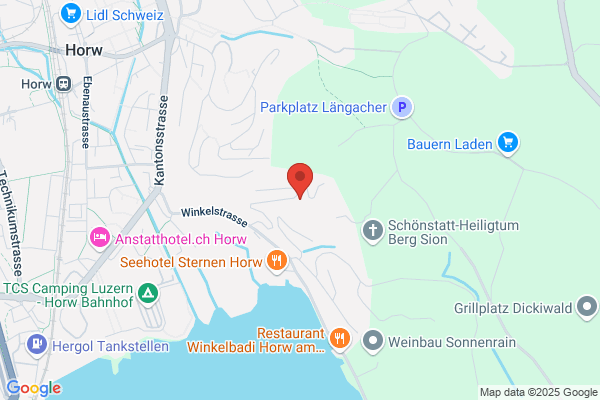 Schaffner Informatik GmbH